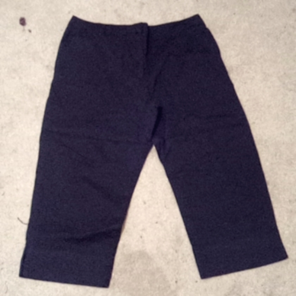 Size 14 cropped pants